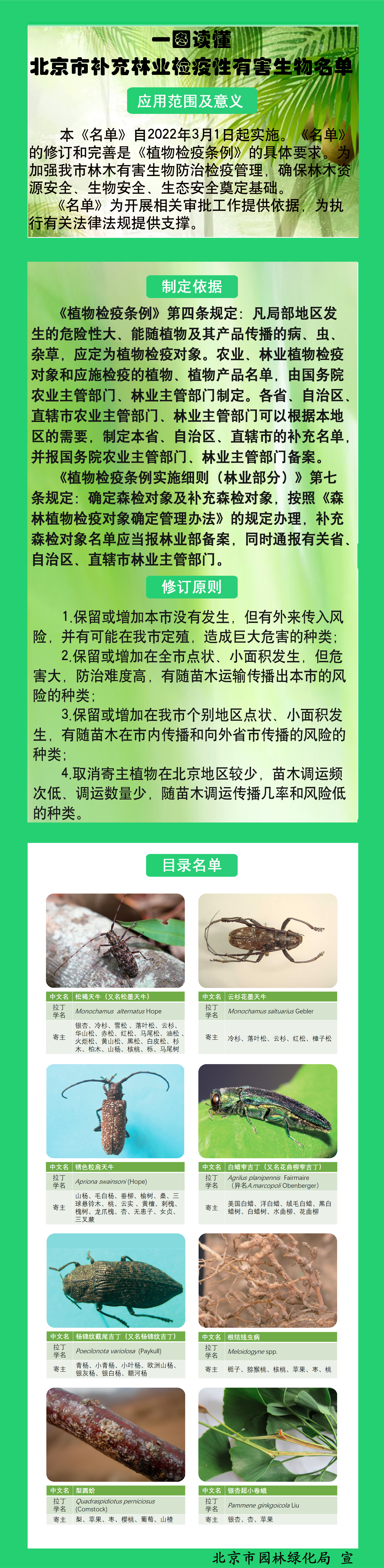 一图读懂《北京市补充林业检疫性有害生物名单》.jpg
