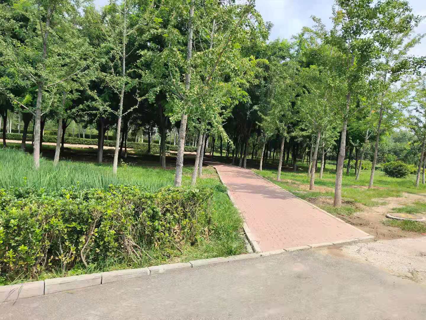 翡翠山休闲公园-丰台区-北京市园林绿化局（首都绿化委员会办公室）