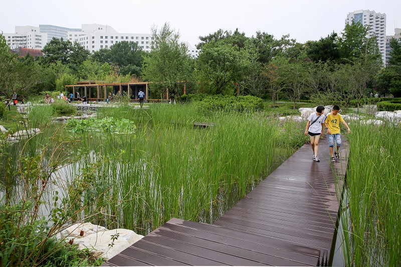 湿地北京专栏→湿地征文及摄影作品→北京亚运村小微湿地（何建勇摄）.JPG