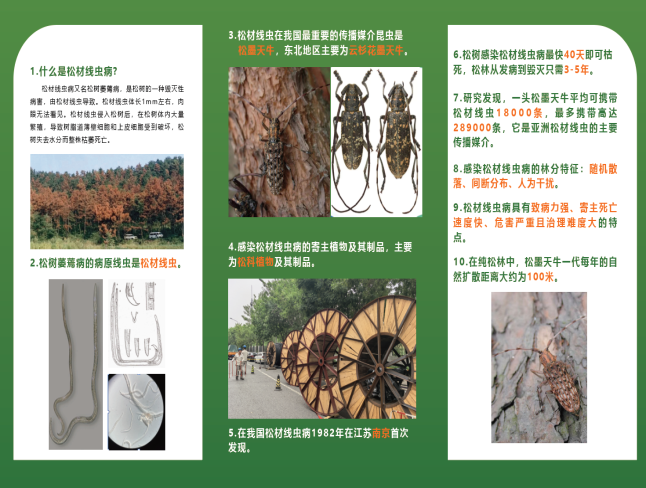 0618北京市丰台区园林绿化局持续推进林木有害生物防控工作.png