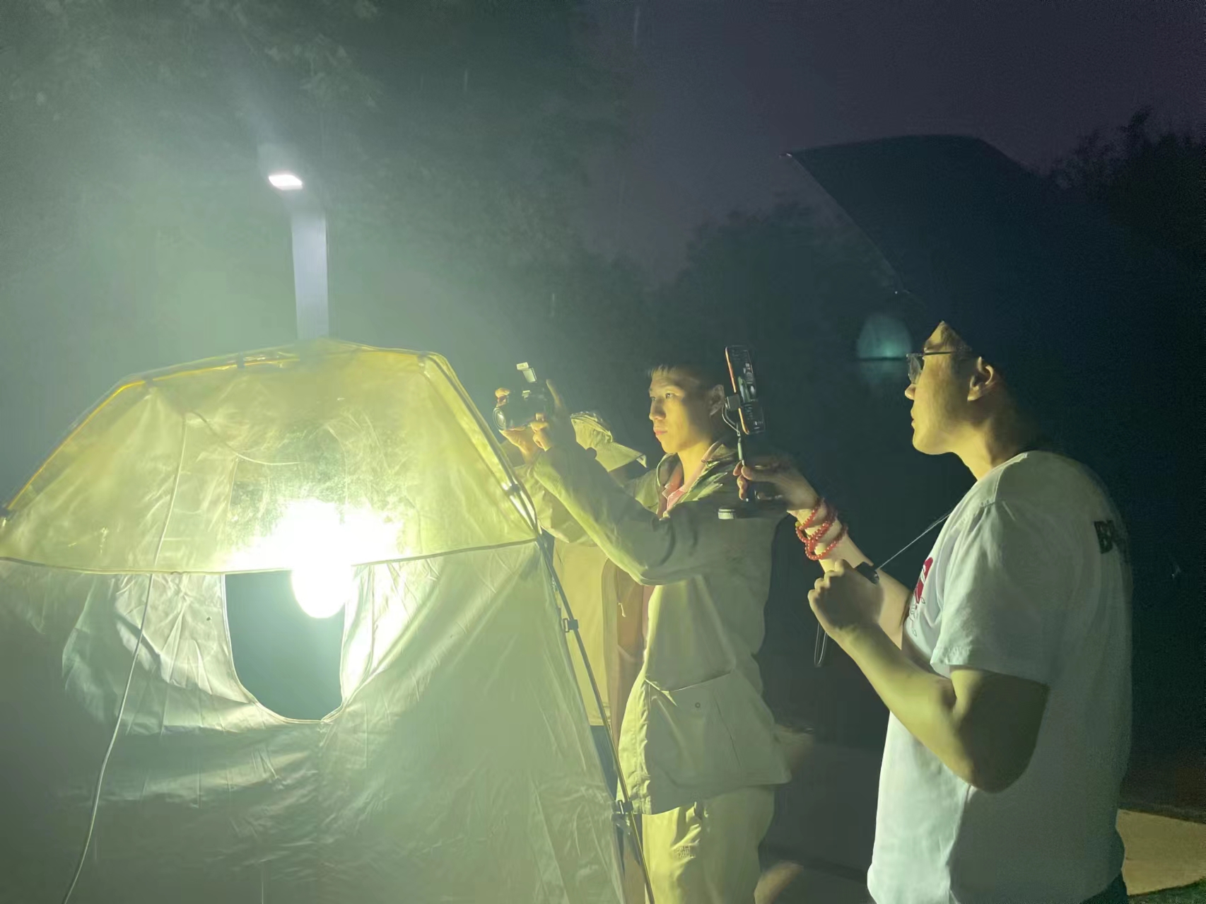 北京市东城区公园管理中心组织开展昆虫灯诱直播活动-防治检疫情况-北京市园林绿化局（首都绿化委员会办公室）