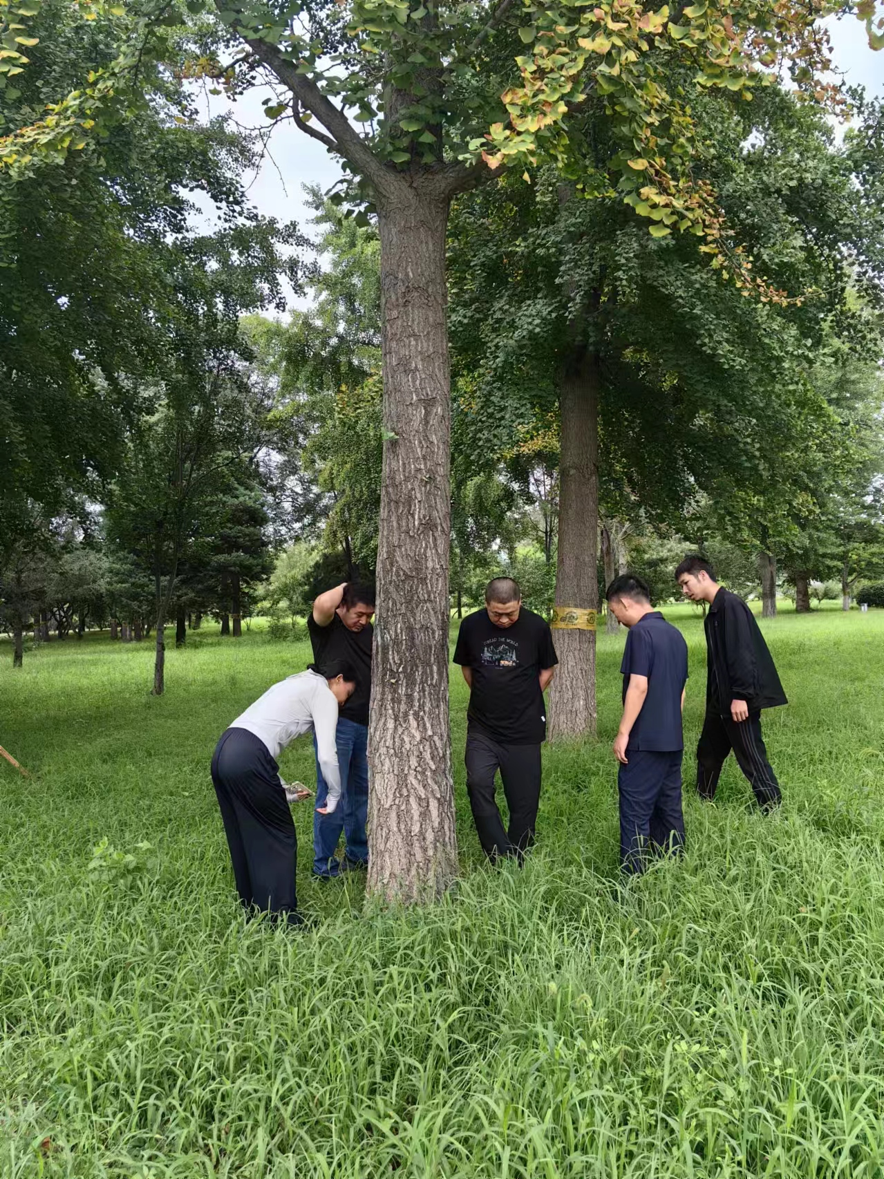 0813北京市园林绿化资源保护中心到密云区调研指导林业有害生物防控工作.png