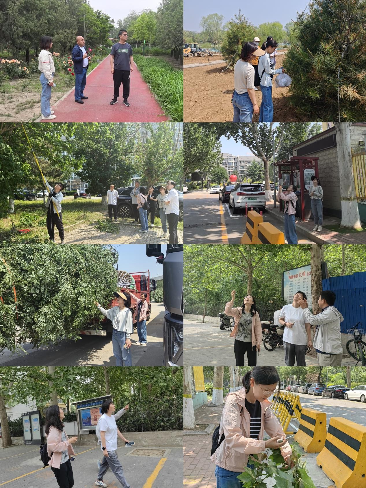 20250530丰台区“四轮驱动”织密林业有害生物防控安全网.jpg