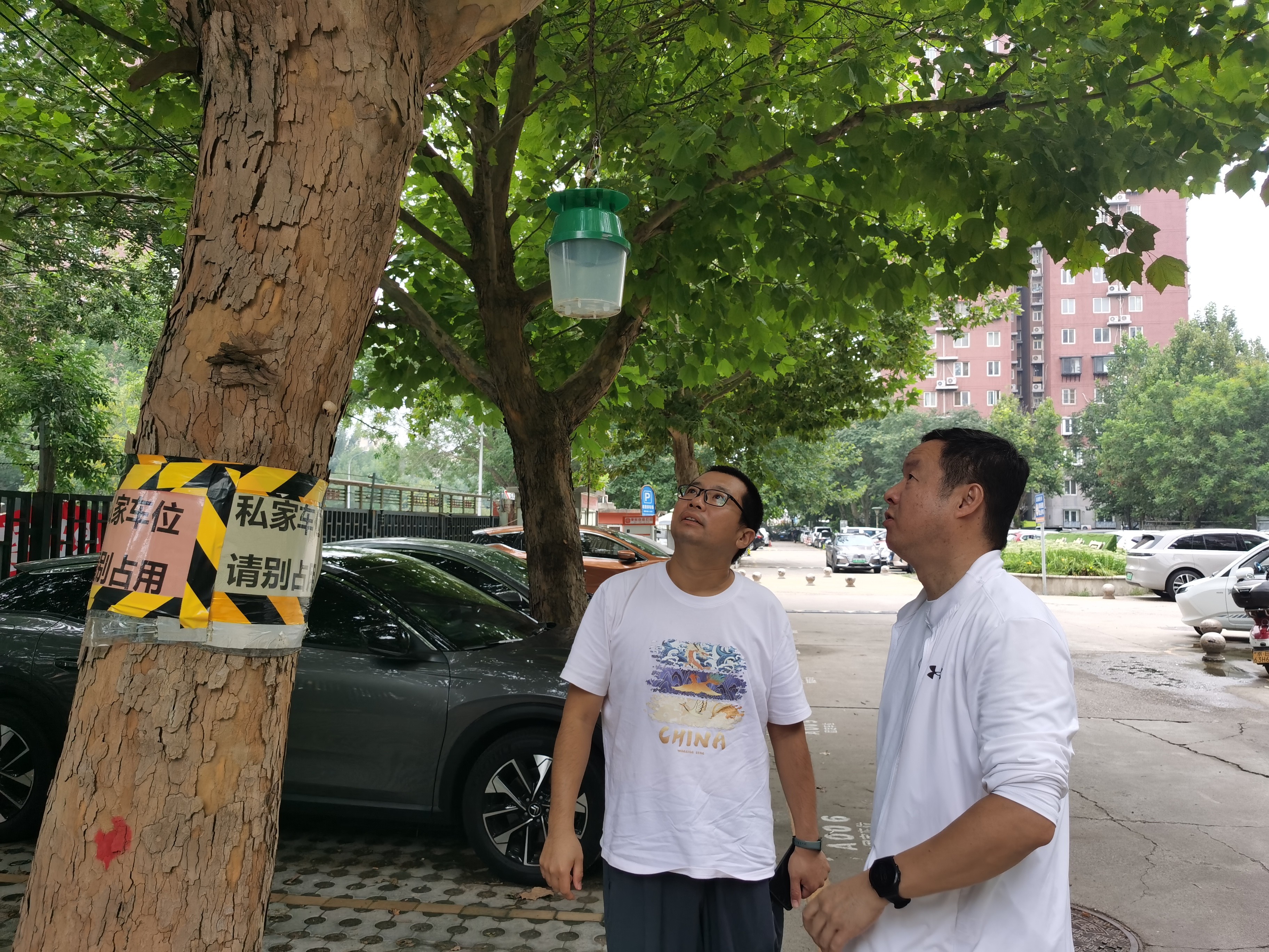 2025.9.30北京市朝阳区强化第三代美国白蛾巡查检查工作筑牢生态安全屏障.jpg 2025.9.30北京市朝阳区强化第三代美国白蛾巡查检查工作筑牢生态安全屏障.jpg