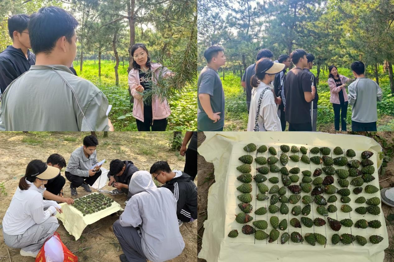 2025.9.30北京市丰台区全面启动2025年松材线虫病秋季普查.jpg 2025.9.30北京市丰台区全面启动2025年松材线虫病秋季普查.jpg