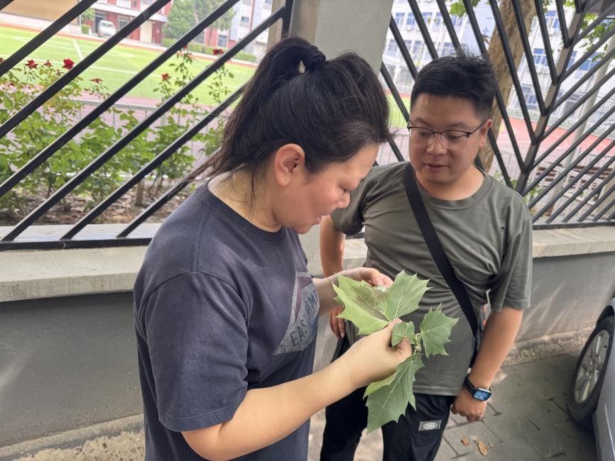 2025.9.30北京市海淀区开展重点时段美国白蛾防控工作.jpg 2025.9.30北京市海淀区开展重点时段美国白蛾防控工作.jpg