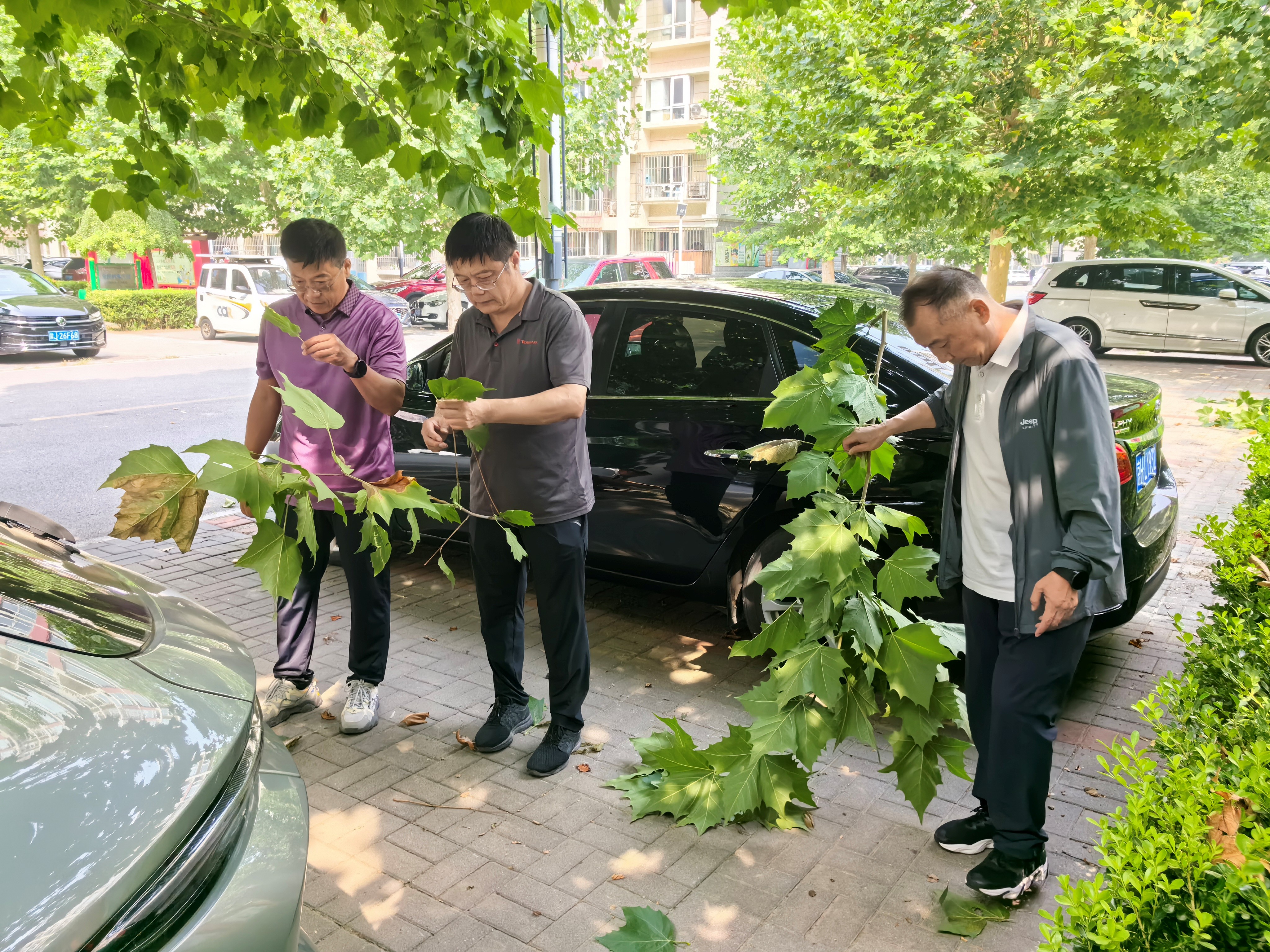 2025.9.30北京市园林绿化局美国白蛾防控专班现场指导通州区第三代美国白蛾防治工作.jpg 2025.9.30北京市园林绿化局美国白蛾防控专班现场指导通州区第三代美国白蛾防治工作.jpg