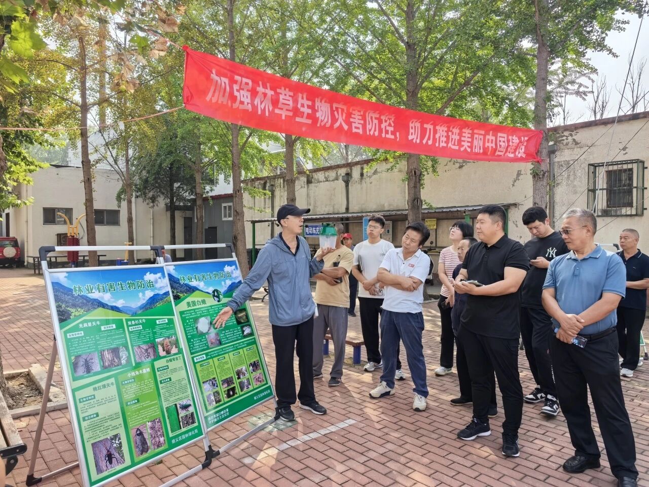 北京市顺义区园林绿化局组织开展美国白蛾防治技术培训.jpg 北京市顺义区园林绿化局组织开展美国白蛾防治技术培训.jpg
