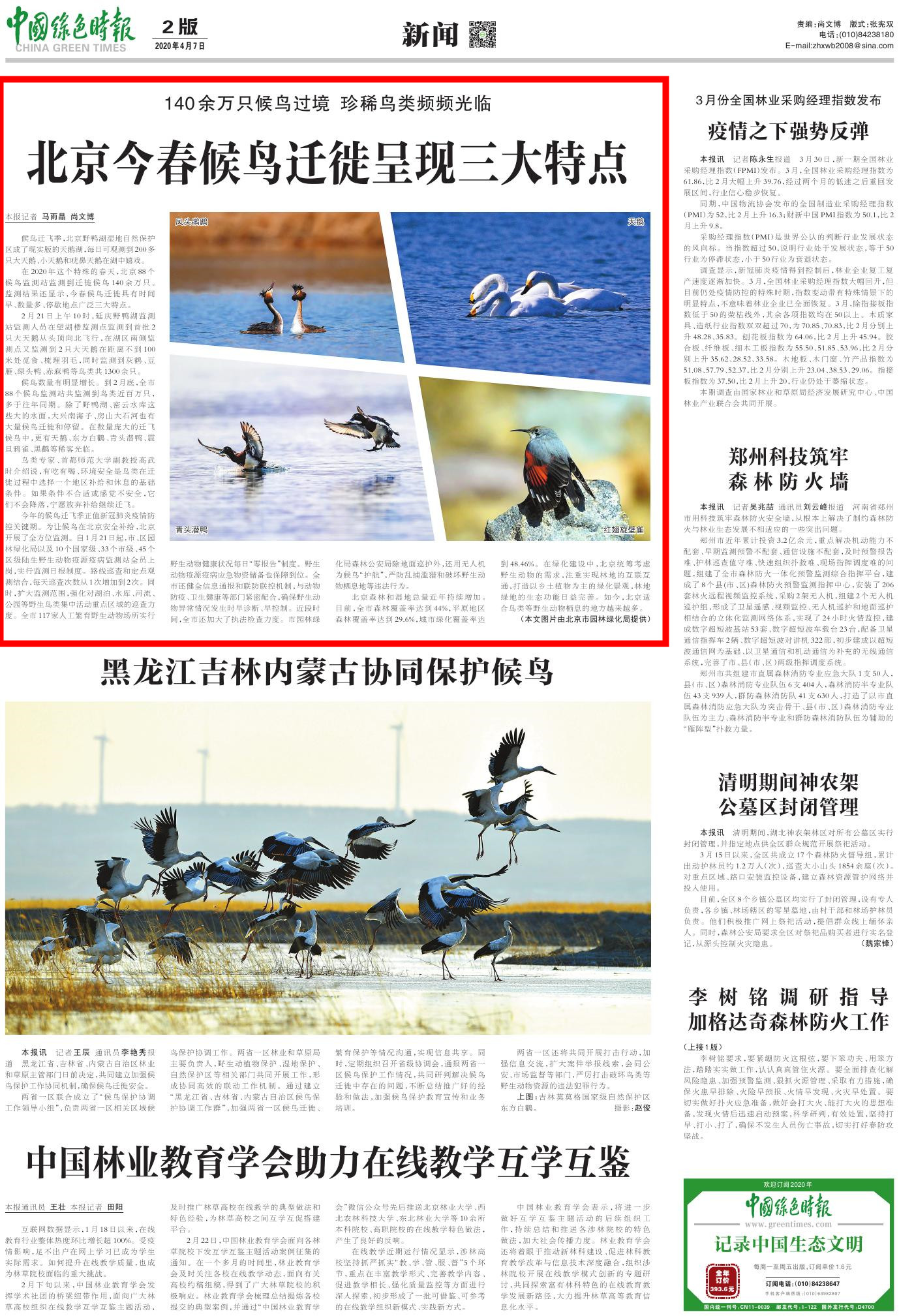 北京今春候鸟迁徙呈现三大特点-爱鸟护鸟我们在行动-北京市园林绿化局(首都绿化委员会办公室)