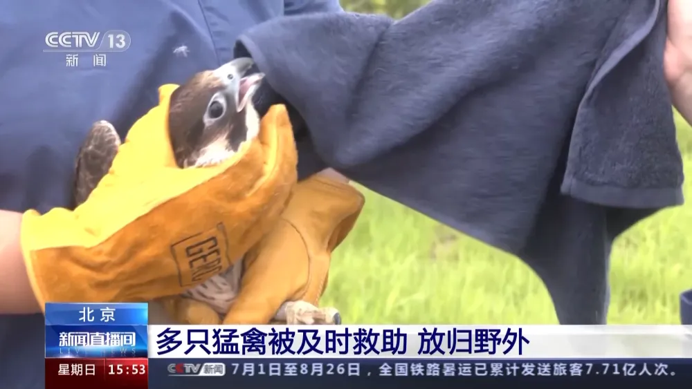 640 (1).png 640 (1).png