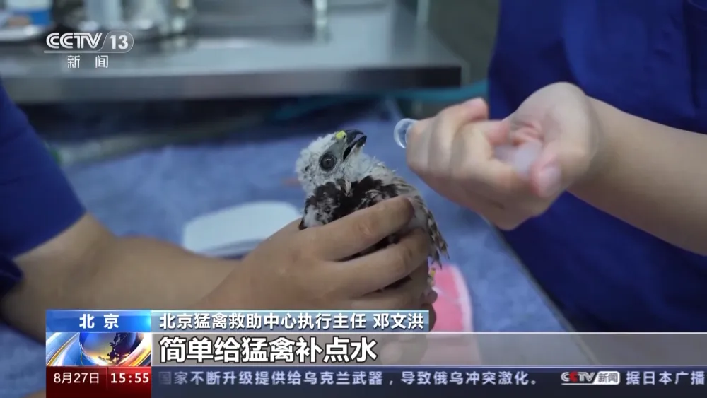 640 (3).png 640 (3).png