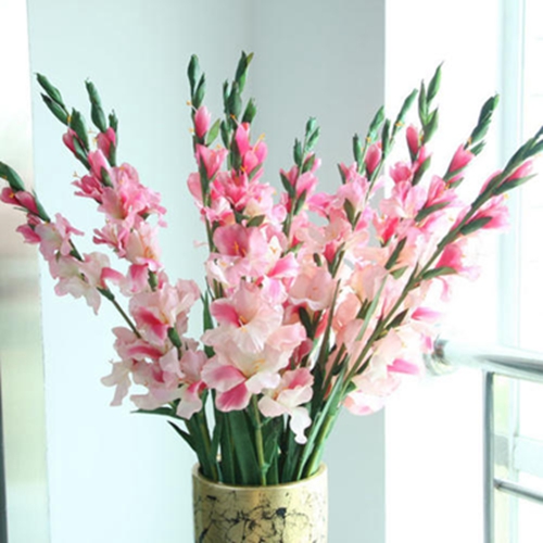 Exquisite Beauty T48-2 10.5