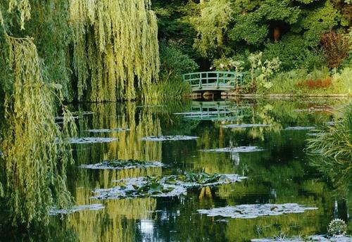 花园中的日本桥