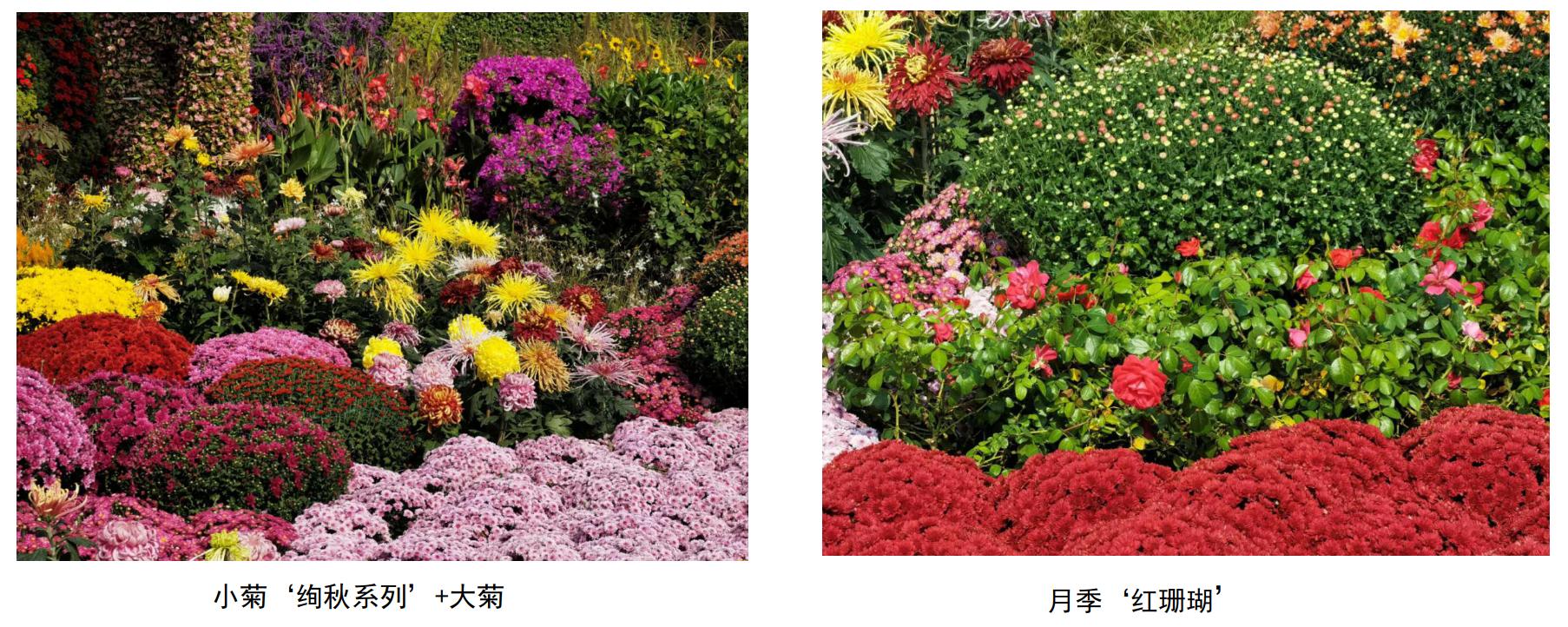 西单西北角2.jpg