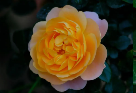 image.png image.png