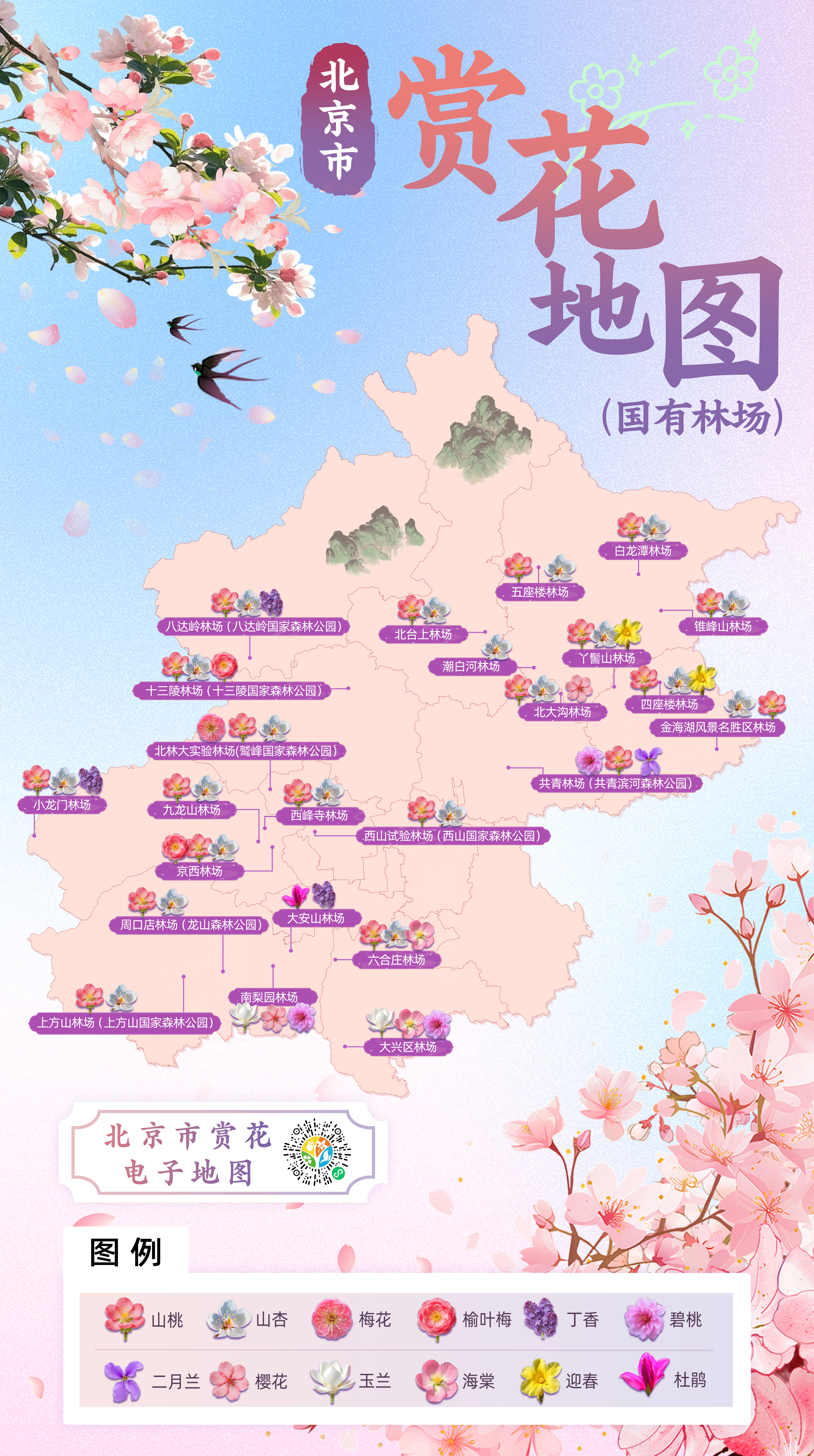 赏花地图（林场）20260324.jpg