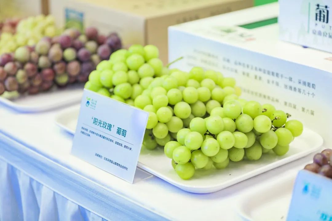 640 (1).jpeg 640 (1).jpeg