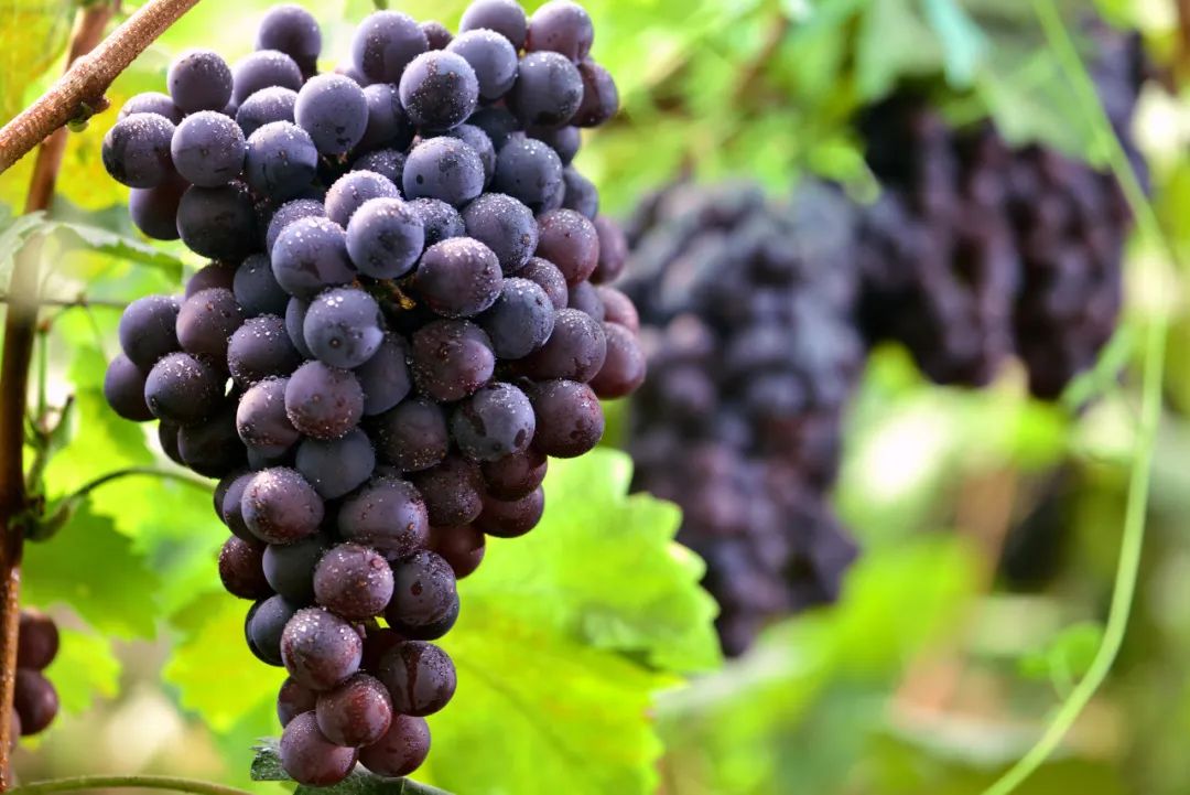 640 (2).jpeg 640 (2).jpeg