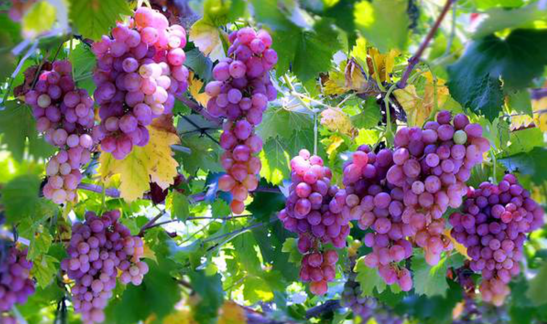 image.png image.png