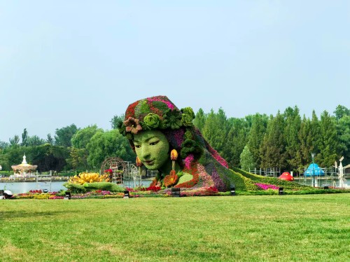 北京国际鲜花港菊花文化节.jpg 北京国际鲜花港菊花文化节.jpg