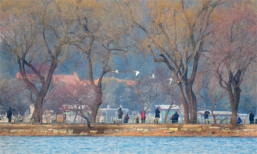 LYG_5793_副本.jpg