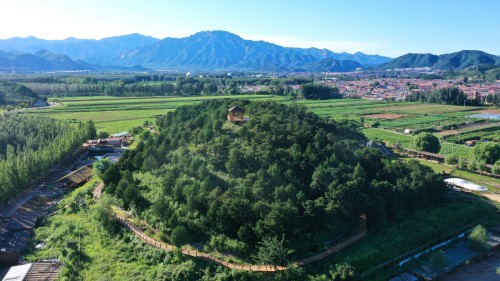 密云区国土绿化项目.jpg