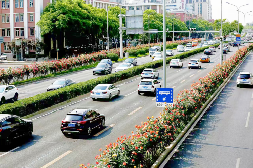 1北京环路形成“月季项链”.png