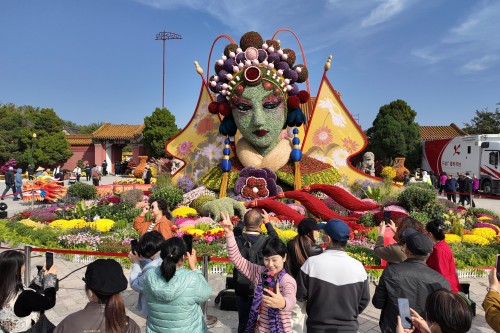 第十五届中国菊花展览会北京展区——穆桂英点秋.jpg 第十五届中国菊花展览会北京展区——穆桂英点秋.jpg