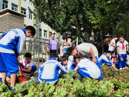 北京市京源学校莲石湖分校.jpg 北京市京源学校莲石湖分校.jpg