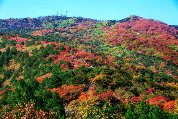 西山国家森林公园（拍摄地点：北京，西山国家森林公园，摄影：何建勇）.jpg