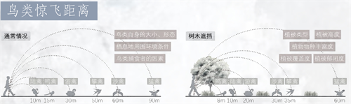 人鸟共生花园营造模式.png