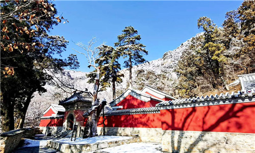 图1 必上_副本.jpg 图1 必上_副本.jpg