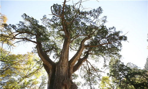 图7 必上_副本.jpg 图7 必上_副本.jpg