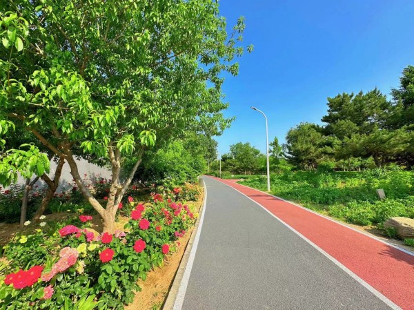丰台区绿堤公园园路改造后焕然一新.jpg