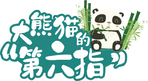 图层 33.png