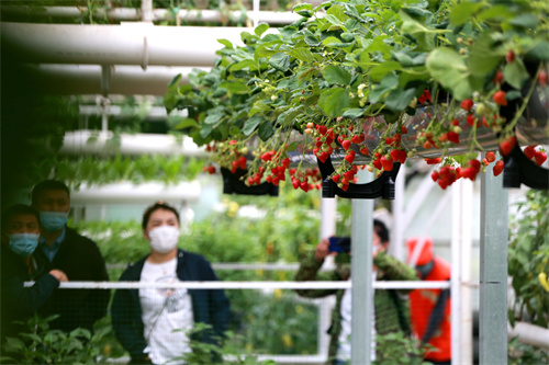 VCG111326535941.jpg VCG111326535941.jpg