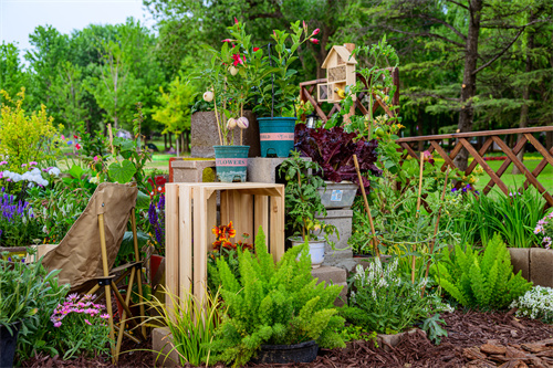 DSC_0629(1).jpg DSC_0629(1).jpg