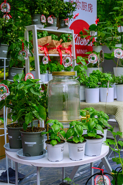 DSC_0582.jpg DSC_0582.jpg