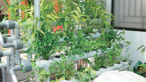 图片8.png 图片8.png