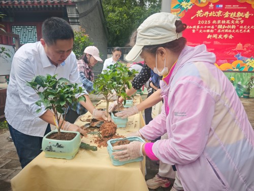 微信图片_20251017155332.jpg 微信图片_20251017155332.jpg