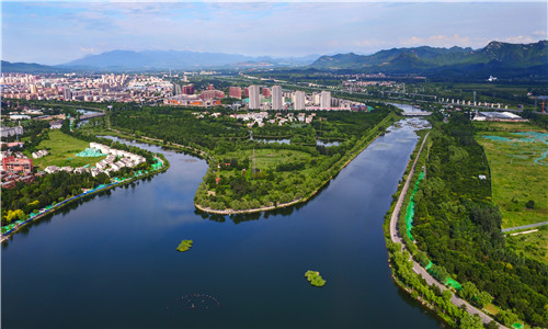 河道两侧绿化图片