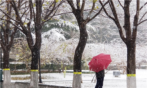 北京下雪了_副本.jpg 北京下雪了_副本.jpg