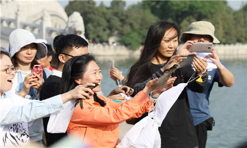 微信图片_20191113102747_副本.jpg
