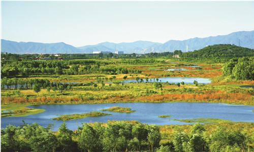 北京市迎来第七个湿地日
