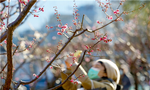 8G1A7026_副本.jpg 8G1A7026_副本.jpg