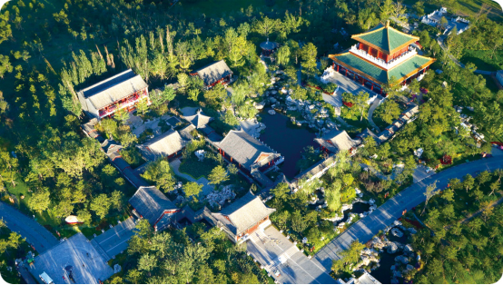 荒滩变绿林--南大荒苗圃