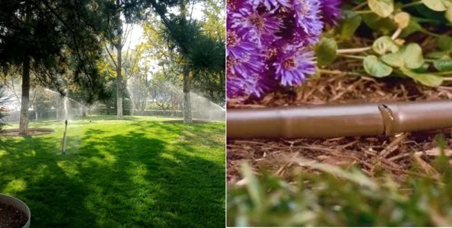 微信图片_20220531125817.png 微信图片_20220531125817.png