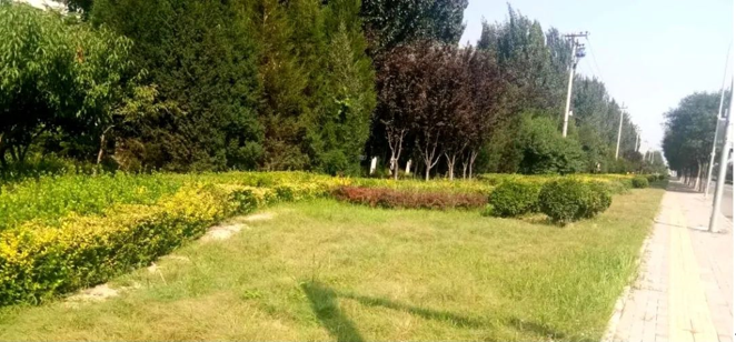 微信图片_202205311258174.png 微信图片_202205311258174.png