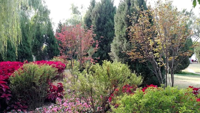 微信图片_202205311258176.png 微信图片_202205311258176.png