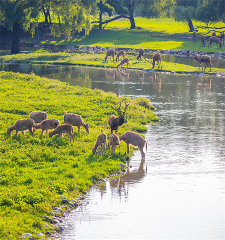 66d3aa670e05bd310d8f2cd14c762f3_副本.jpg 66d3aa670e05bd310d8f2cd14c762f3_副本.jpg